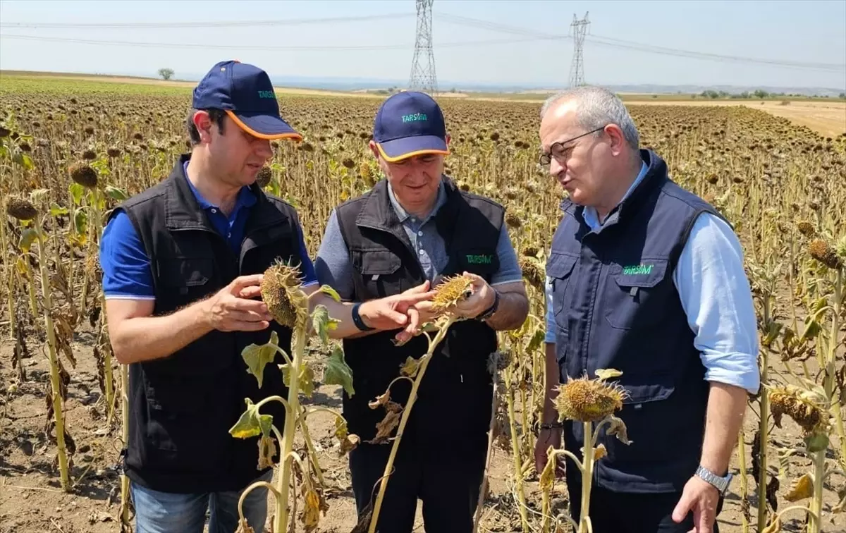 TARSİM Heyeti Edirne'de Saha Ziyareti Gerçekleştirdi