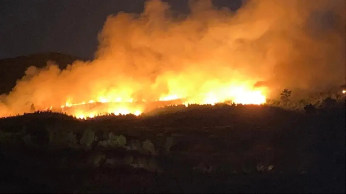 Uşak, Çanakkale ve Balıkesir'de orman yangını alarmı! Çok sayıda ev tahliye edildi