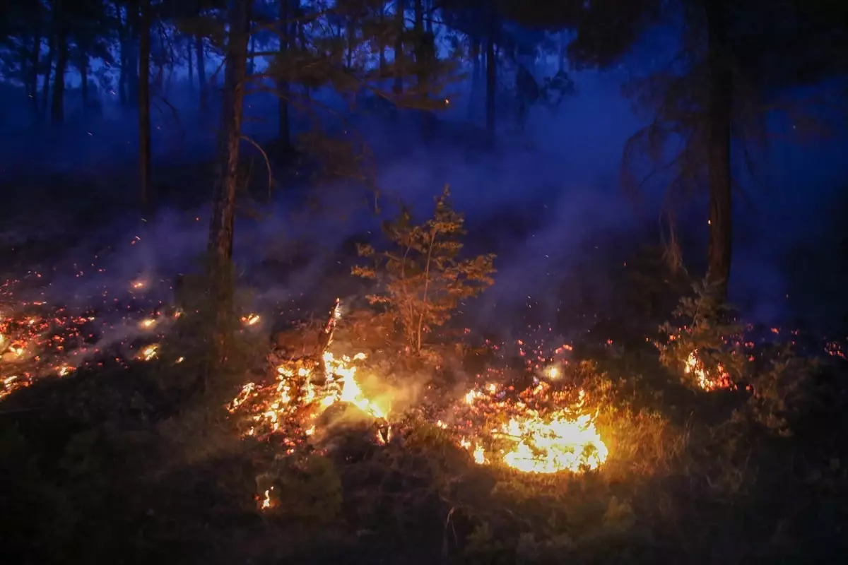 Uşak ve Çanakkale orman yangını alarmı! Çok sayıda ev tahliye edildi