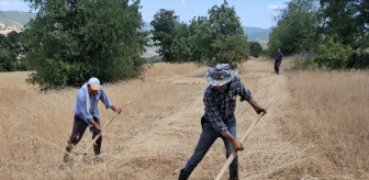 Demirci'de İmece Usulü Buğday ve Arpa Hasadı