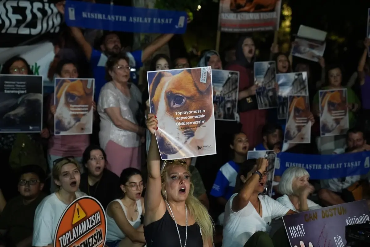 Ankara'da Hayvanları Koruma Kanunu'na karşı protesto düzenlendi - Haberler