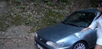 Sarıyer Belgrad Ormanı'nda park halindeki araçların üzerine ağaç devrildi