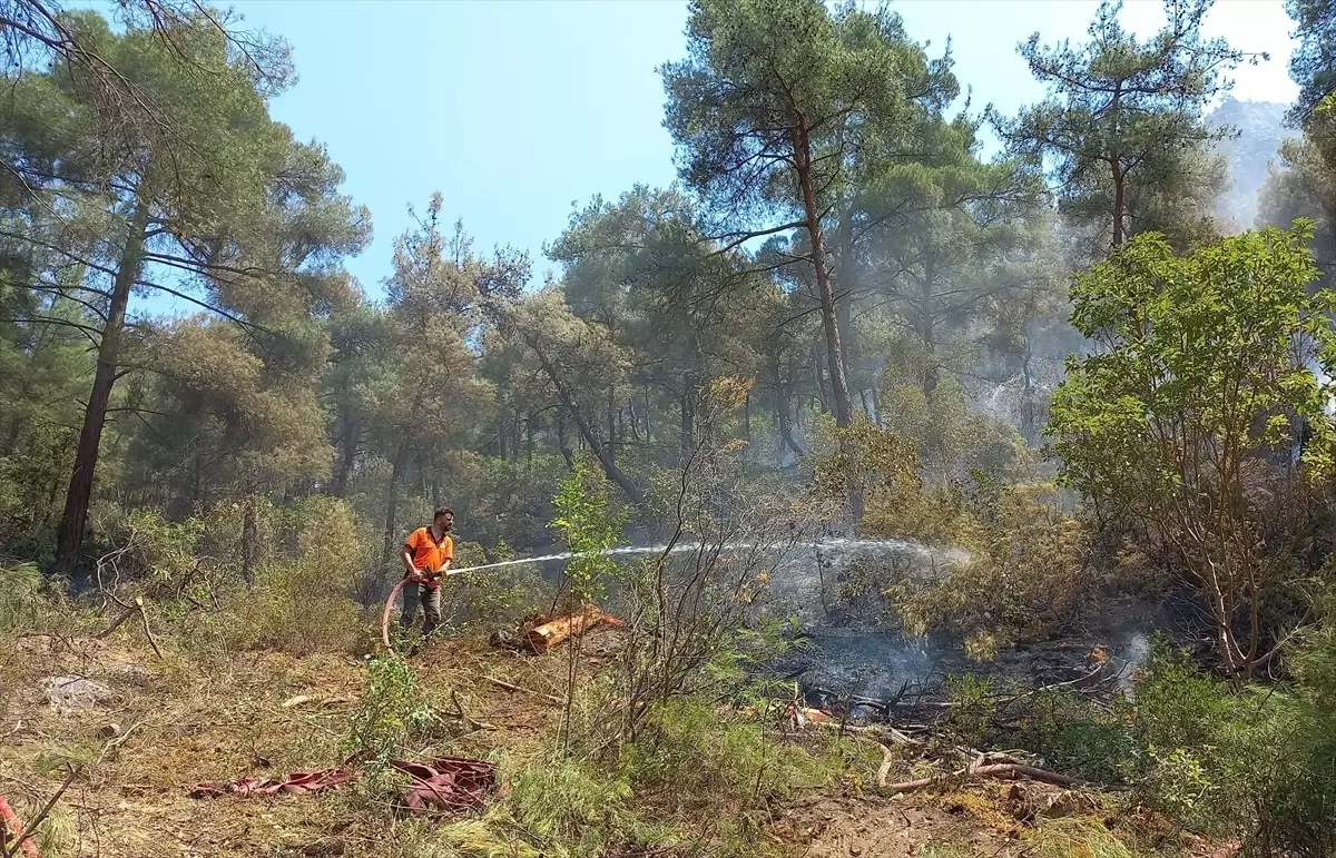 Bilecik'teki Orman Yangını Kontrol Altına Alındı