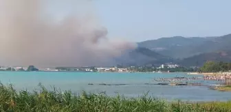 İznik'teki Ormanlık Alanda Yangın Çıktı