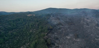 İznik'teki Orman Yangını Kontrol Altına Alındı