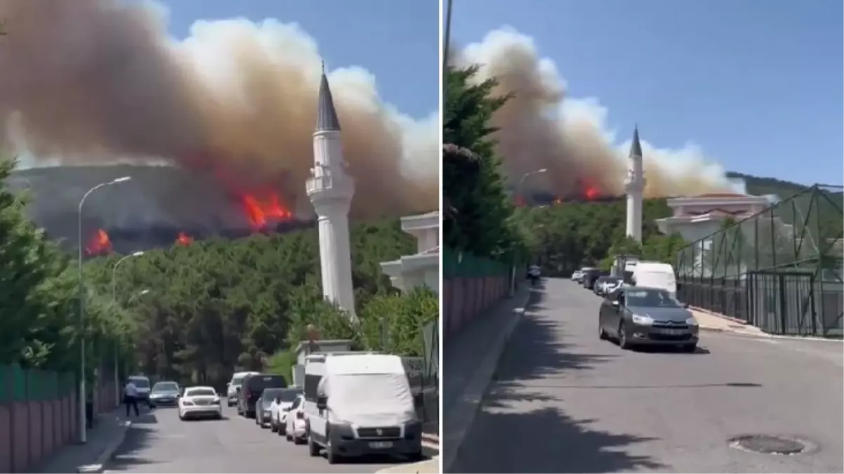 İstanbul'daki Aydos Ormanı'nda yangın çıktı! Alevler güçlükle kontrol altına alındı