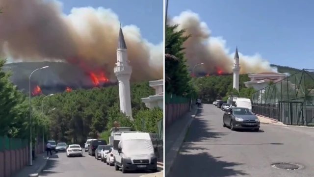 A fire broke out in Aydos Forest in Istanbul! The flames were barely brought under control.