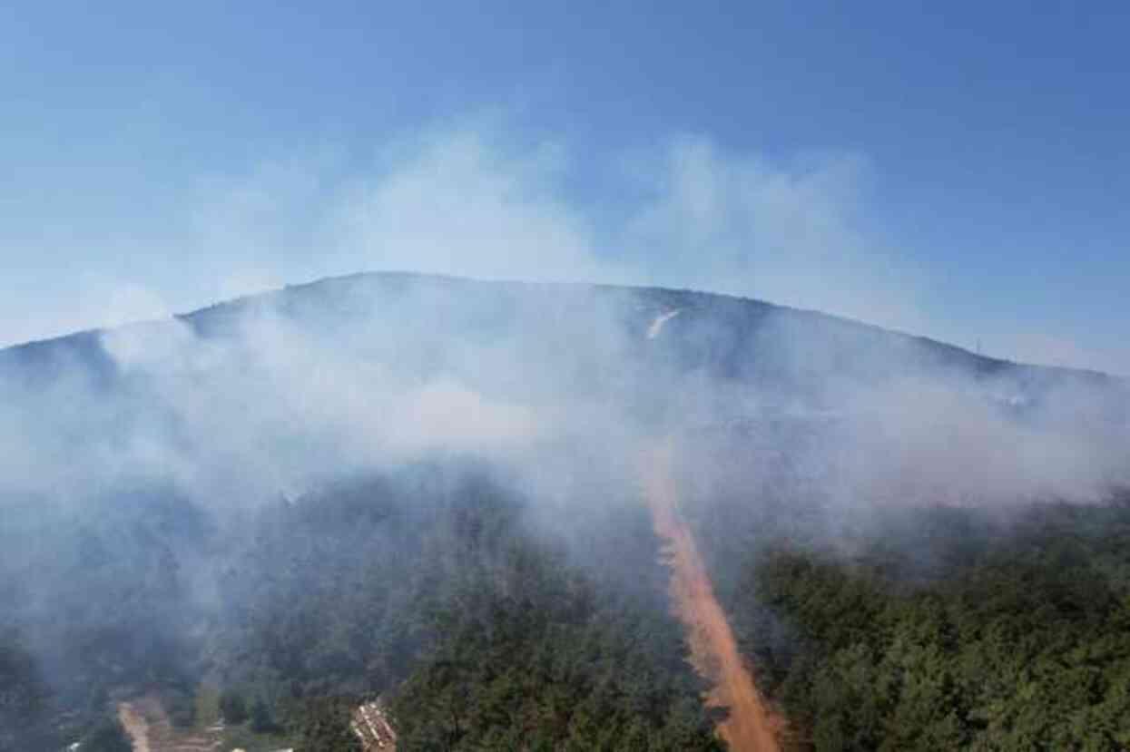 İstanbul'daki Aydos Ormanı'nda yangın çıktı! Alevler yerleşim yerlerine doğru ilerliyor