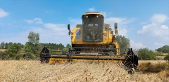 Kastamonu'da Geçmişi 10 Bin Yıl Öncesine Dayanan Siyez Buğdayı Hasadı Başladı