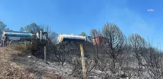 İstanbul Pendik-Aydos Ormanı'nda çıkan yangın kontrol altına alındı