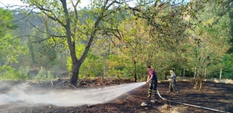 Sinop'un Boyabat ilçesinde bahçede çıkan yangın söndürüldü