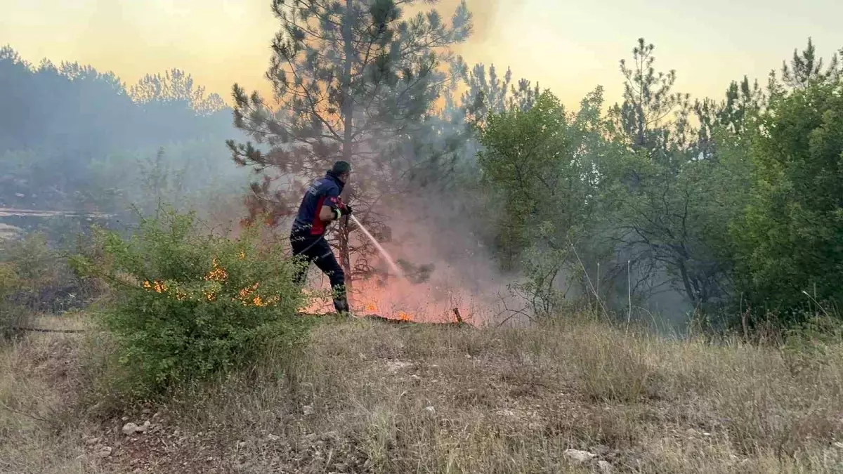 Tokat'ta ormanlık alanda çıkan yangın büyümeden söndürüldü
