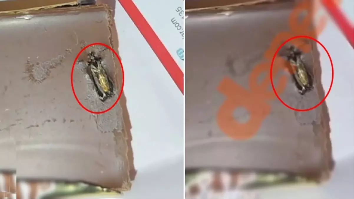 Ünlü oyuncu Burcu Günay'ın yediği çikolatanın içinden böcek çıktı