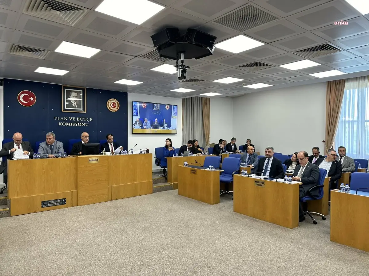 Hayvanları Koruma Kanunu'nda Değişiklik Yapılmasına Dair Kanun Teklifi'nde Ötanazi İbaresi Çıkarıldı