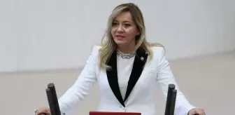 Aylin Cesur İYİ Parti'den istifa mı etti? Aylin Cesur kimdir, kaç yaşında ve nereli?