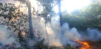 Balıkesir Havran'da Orman Yangını Kontrol Altına Alındı