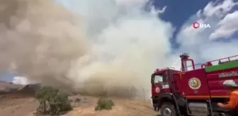 Bingöl'de çıkan orman yangınları söndürüldü