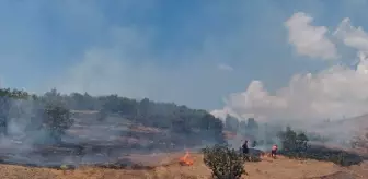 Bingöl'de ormanlık alanda çıkan yangın söndürüldü