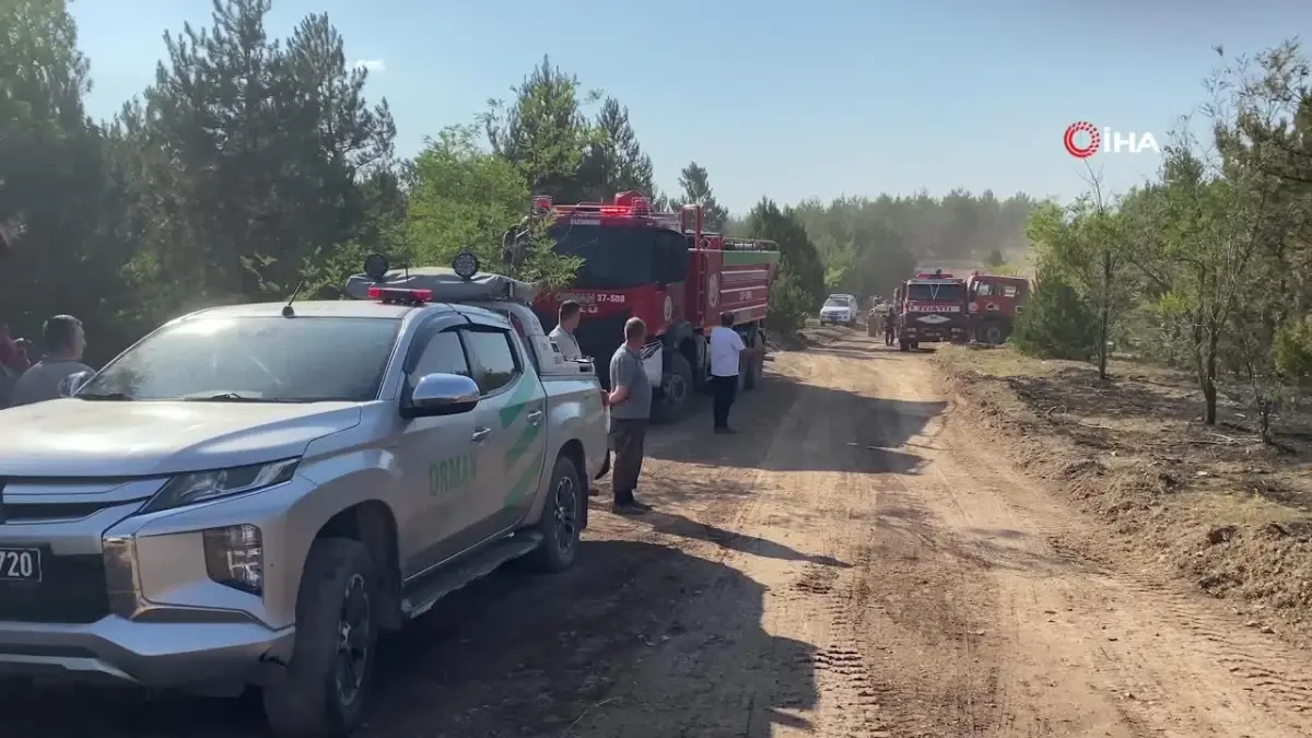 Kastamonu'daki orman yangını kontrol altına alındı