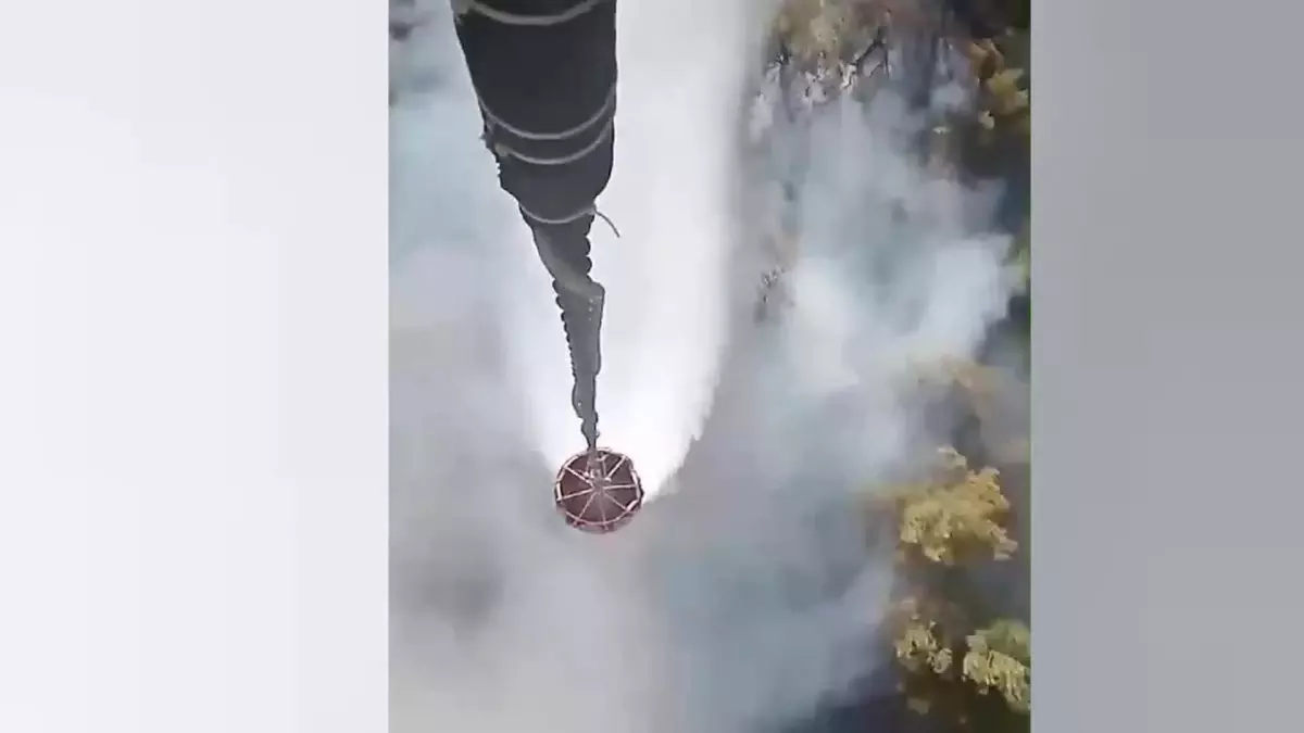 Manisa'da çıkan orman yangını kontrol altına alındı