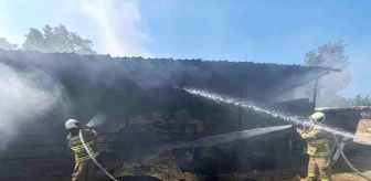 Manyas'ta Ahır Yangını: 3 Büyükbaş Hayvan Yaralandı