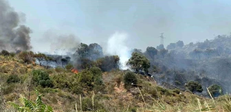 Şarköy'deki Yangın Kontrol Altına Alındı