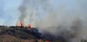 Şarköy'de Makilik Alanda Yangın Çıktı