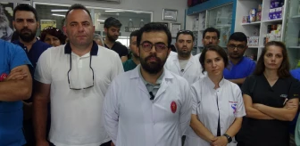 Veteriner Hekim Darbedildi, Şüpheliler Serbest Bırakıldı