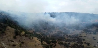 Afyonkarahisar Şuhut'ta Orman Yangını