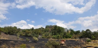 Amasya'da buğday ekili arazide yangın çıktı