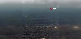 Ankara'da arazi yangını