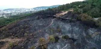 Pendik Aydos Ormanı'ndaki Yangın Sonrası Görüntüler