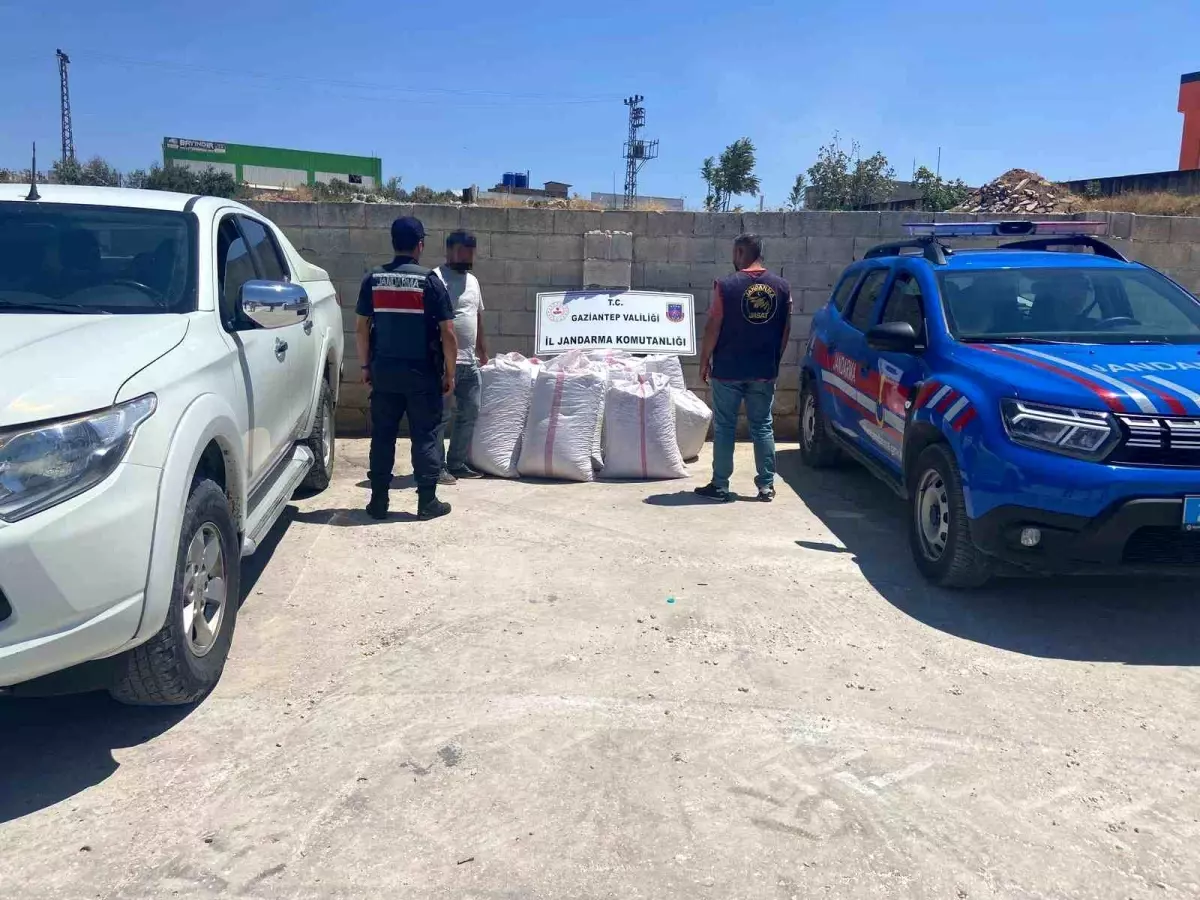 Gaziantep'te 1,5 Ton Antep Fıstığı Çalan Şüpheli Yakalandı