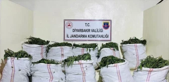Diyarbakır'da büyük uyuşturucu operasyonu