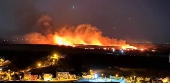 Diyarbakır'da anız yangını! İki ilçeden itfaiyeler bölgeye sevk edildi