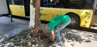 İstanbul Fatih'te Açıkta Bulunan Elektrik Kabloları Tedirginlik Yarattı