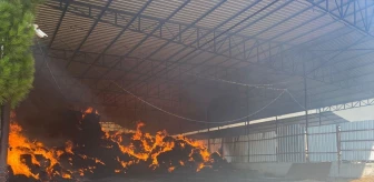 Manisa'da çiftlik yangınında 2 bin balya zarar gördü
