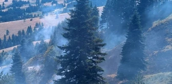 Samsun'da orman yangını kontrol altına alındı