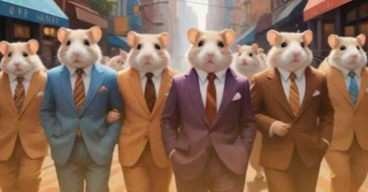 24 TEMMUZ HAMSTER KOMBAT GÜNLÜK ŞİFRE KOMBO | Hamster Kombat yeni şifre ne, nasıl kullanılır? Hamster Kombat nedir?