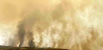 ABD'nin Oregon ve California eyaletlerinde büyük orman yangınları devam ediyor