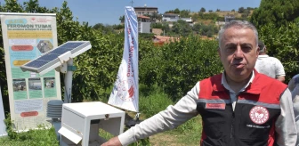 İzmir'de Akdeniz Meyve Sineğiyle Teknoloji Destekli Mücadele