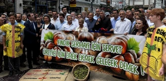 CHP Milletvekilleri ve İl Başkanları Fındık Üreticileri İçin Basın Açıklaması Yaptı