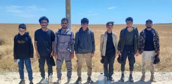 Edirne'de 7 Suriyeli kaçak göçmen yakalandı