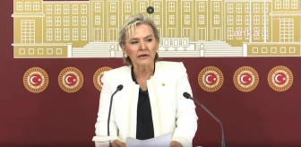İYİ Parti İstanbul Milletvekili Nimet Özdemir Partiden İstifa Etti
