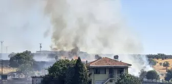 Manisa'da çıkan yangın buğday tarlasına sıçradı