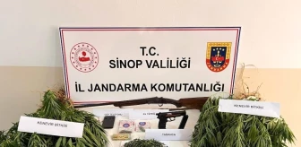 Sinop'ta Uyuşturucu ve Silah Operasyonu: Ele Geçirildi