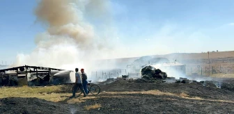 Çorlu'da çiftlik yangınında 500 dönüm tarım arazisi zarar gördü