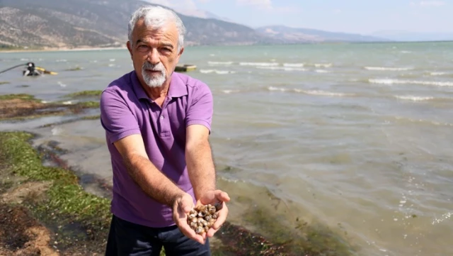 Эксперты наблюдают за процессом очистки отходов в крупнейшем пресноводном озере Турции! Тысячи живых существ выброшены на берег.