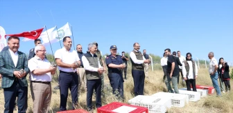 Yozgat'ta 800 Kınalı Keklik Doğaya Salındı