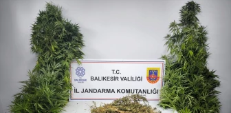 Balıkesir'de Uyuşturucu Operasyonu: 2 Şüpheli Gözaltına Alındı